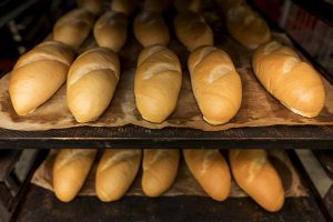 Horno - bolillos